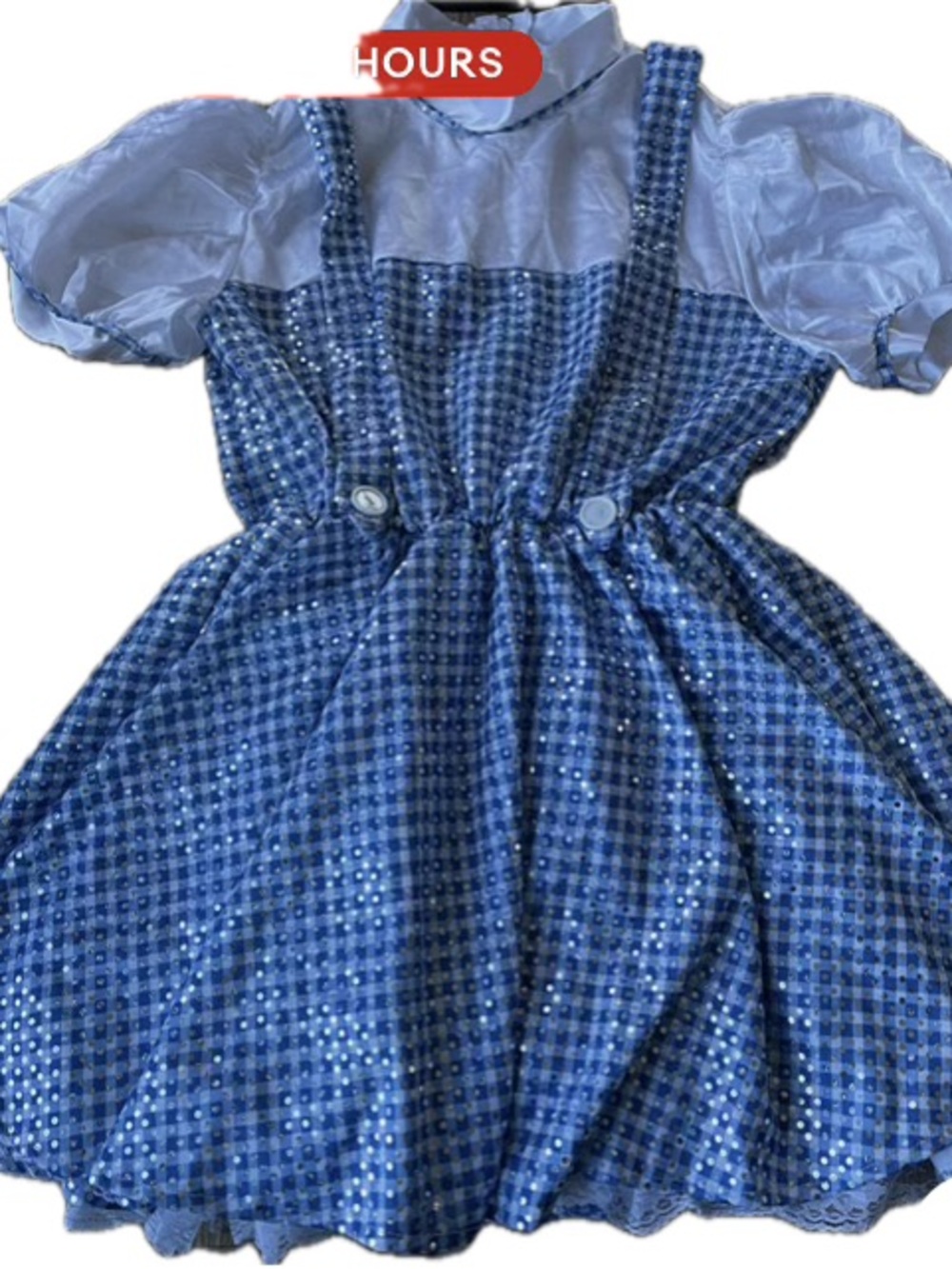 Rubie's Blue Sequin Gingham Pinafore Dress Costume